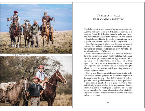 Historias del campo argentino