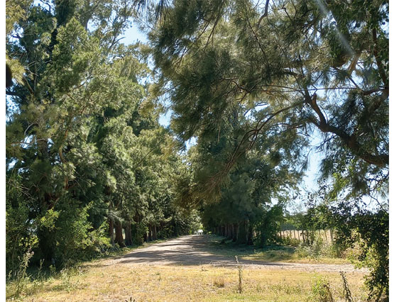 Estancia 