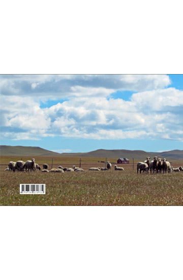 Viviendo entre ovejas